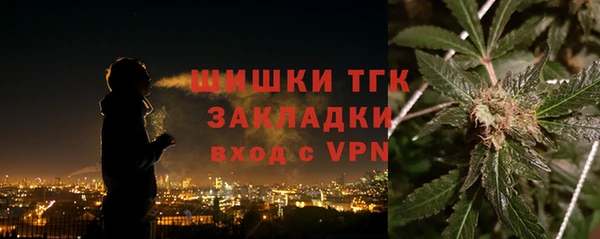 прущие грибы Баксан