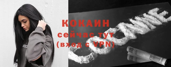 прущие грибы Баксан