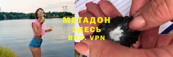 прущие грибы Баксан