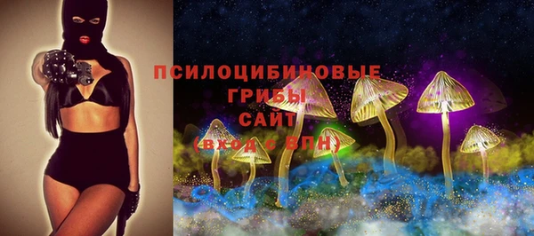 дживик Снежинск