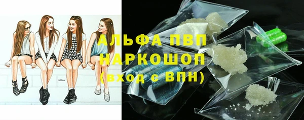 прущие грибы Баксан