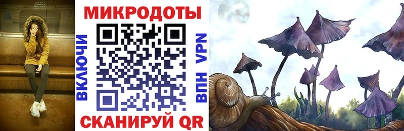 ссылка на мегу сайт  Вельск  Псилоцибиновые грибы прущие грибы  где продают наркотики 